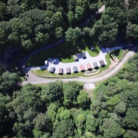 Forest Pod 4 Pet Friendly Villa Neath Kültér fotó